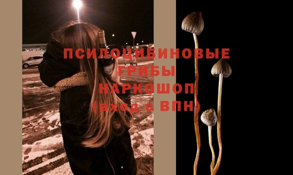 твердый Аркадак