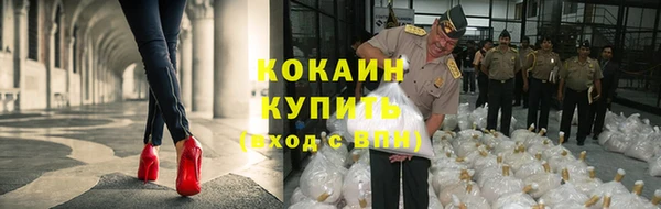 твердый Аркадак