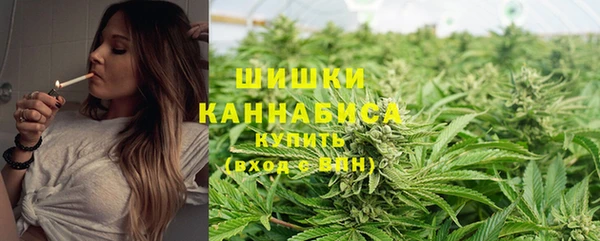 дмт Арсеньев