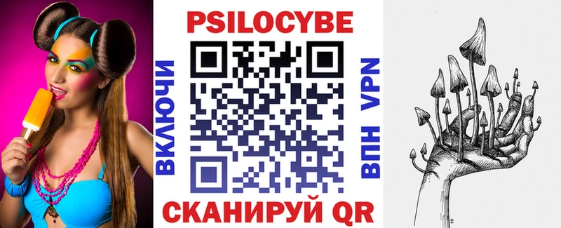 blacksprut как войти  Сунжа  Псилоцибиновые грибы Cubensis 